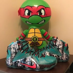 LeBron 12 Xmas Akron Birch